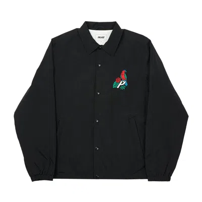 Pre-owned Palace Parrot -3 Coach Jacket 'black' | Men's Size M