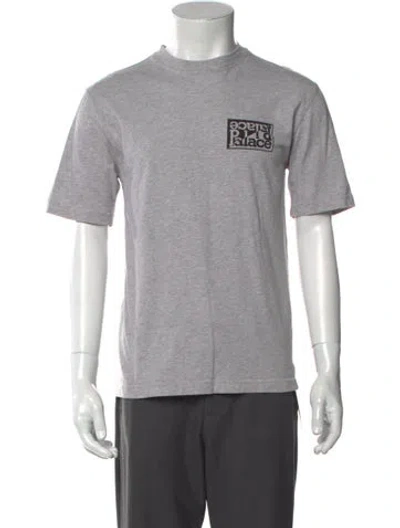 Pre-owned Palace Skateboards Graphic Print Crew Neck T-shirt In Gray