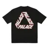 Palace Ss24 P-3 Outline T-shirt 'black'