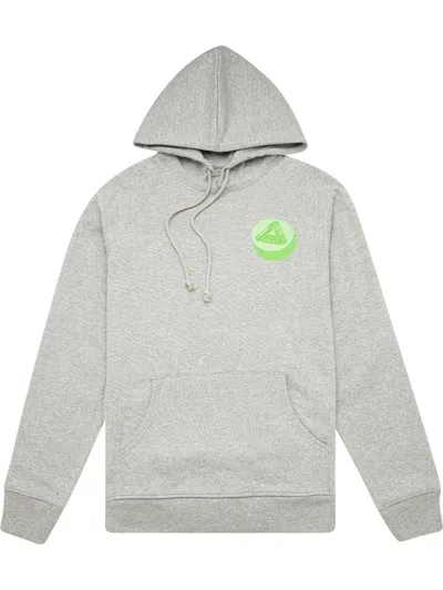 Palace Tablet Tri-ferg Hoodie In Grey
