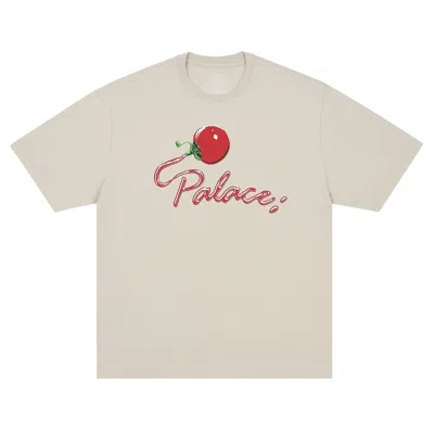 Pre-owned Palace Tommy T-shirt 'stoney Grey' | Men's Size L In Gray