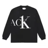 Palace X Calvin Klein Long Sleeve Logo T-shirt 'black'