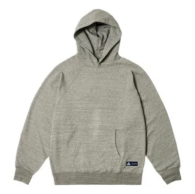 Palace X Nanamica Fw23 Hoodie 'grey' In Green