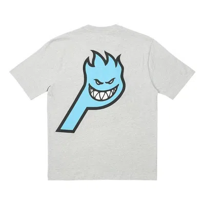 Palace X Spitfire P-head T-shirt 'grey' In White