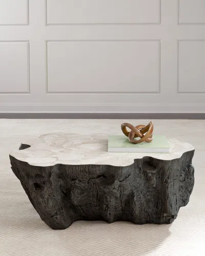 Palecek Ursula Fossilized Clam Coffee Table In Brown / Stone