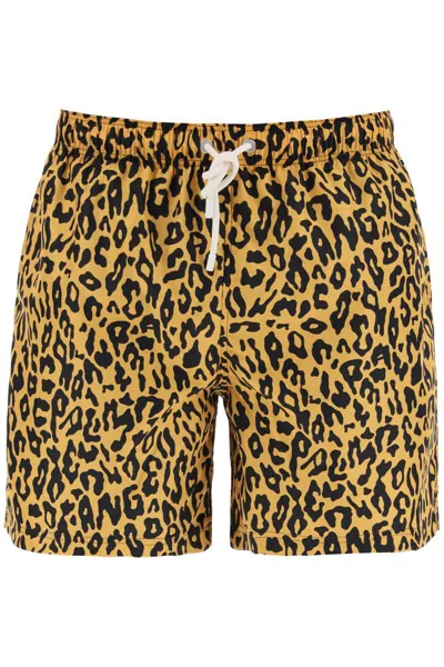 Palm Angels Animal Print Sea Berm In Yellow,black