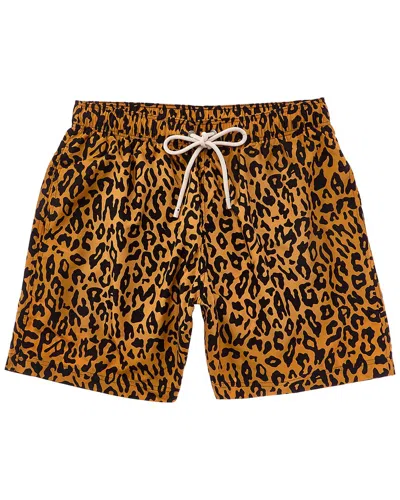 Palm Angels Cheetah Swim Short In Animal Print