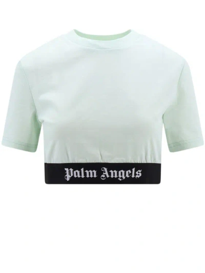Palm Angels Cotton Crop Top With Classic Logo Elastic Band In Green