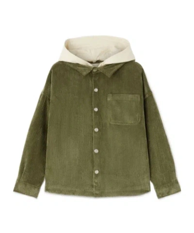 Palm Angels Logo Hooded Shirt Jacket In Green