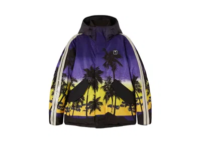 Pre-owned Palm Angels Men's  Palm Sunset Track Ski Jacket/in Purple/black In Multi