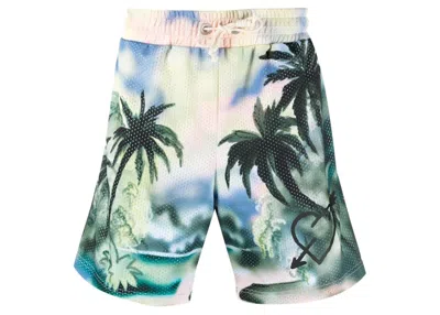 Pre-owned Palm Angels Men's  Paradise Mesh Track Shorts In Multi