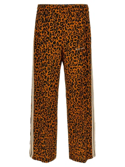 PALM ANGELS MULTICOLOR CHEETAH TRACK JOGGERS