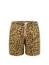 PALM ANGELS NYLON SWIM SHORTS WITH ALL-OVER ANIMALIER PRINT