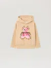 Palm Angels Pa Punk Bear Regular Hoodiee In Neutral