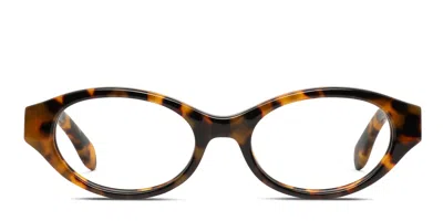 Palm Angels Pa5025 Tortoise