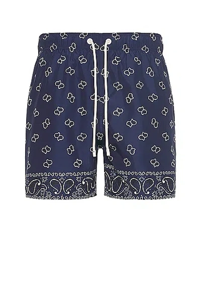 Palm Angels Paisley-print Cotton Shorts In Blue