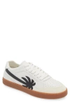 Palm Angels Palm 1 Low-top Sneakers In White Black