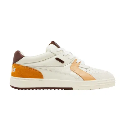 Pre-owned Palm Angels Palm University Low 'beige Brown' | Cream | Men's Size 42