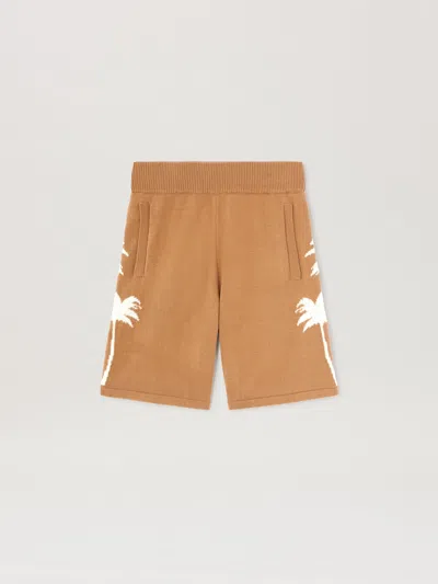 Palm Angels Palm Inlay Knit Shorts