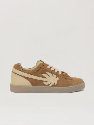 Palm Angels Palm Tennis Suede Sneakers In Brown