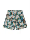 Palm Angels Palm Tree-print Cotton Shorts In Black
