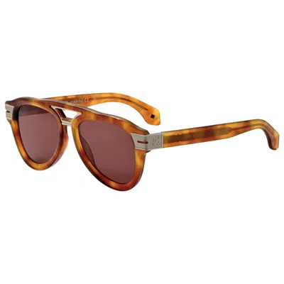 Palm Angels Paradise Women's Sunglasses In Brown