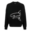 Palm Angels Black Cotton Sweatshirt In Black