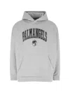 Palm Angels College Palm Logo Printed Hoodie In Grey