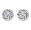 Palm Beach Jewelry 1/7 Cttw. Round Diamond Gold-plated Sterling Silver Cluster Halo Earrings