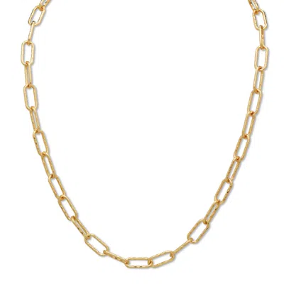 Palm Beach Jewelry Gold Ion-plated Stainless Steel Hammered Paperclip Necklace 20 Inch