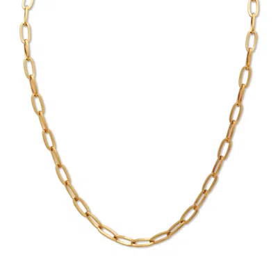 Palm Beach Jewelry Gold Ion-plated Stainless Steel Paperclip Necklace 20 Inch