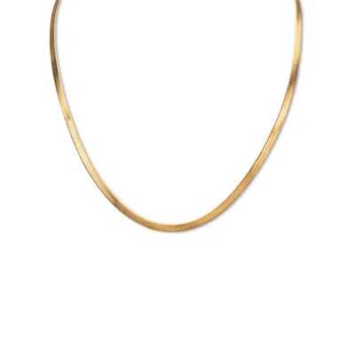 Palm Beach Jewelry Herringbone Chain Necklace Gold Ion-plated Stainless Steel 16" Length In Yellow