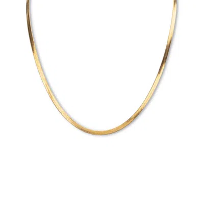Palm Beach Jewelry Herringbone Chain Necklace Gold Ion-plated Stainless Steel 18" Length In Yellow