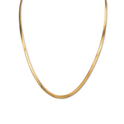 Palm Beach Jewelry Herringbone Chain Necklace Gold Ion-plated Stainless Steel 20" Length In Yellow