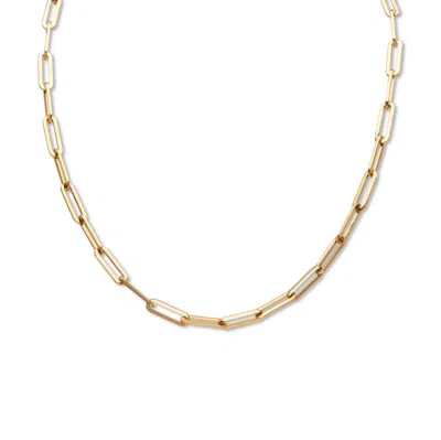 Palm Beach Jewelry Paperclip Chain Link Necklace Gold Ion-plated Stainless Steel 16" Length In Yellow