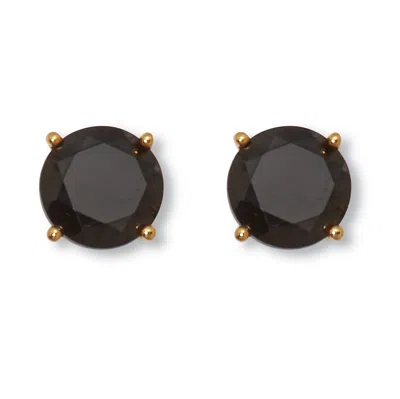 Palm Beach Jewelry Round Genuine Black Spinel Yellow Gold-plated Sterling Silver Stud Earrings