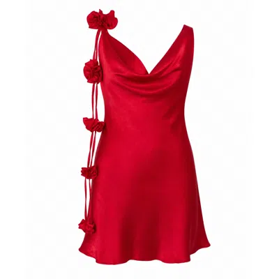 Palm Collective Women's Red Rose Dress