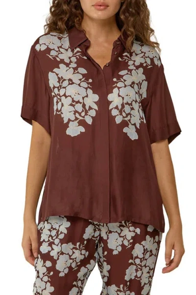 Palm Noosa Rory Shirt In Brown