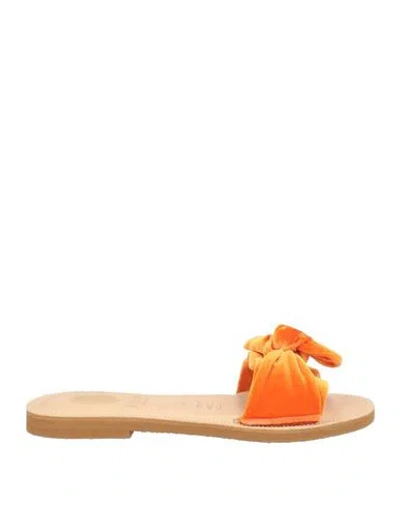 Palma Woman Sandals Orange Size 11 Textile Fibers In Orange