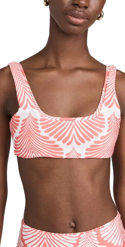 Palmacea Serena Bikini Top Agatha