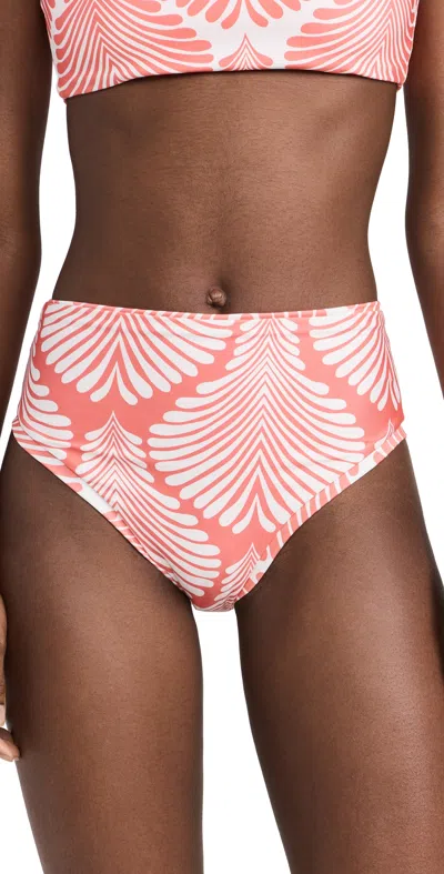 Palmacea Sunne Bikini Bottoms Agatha