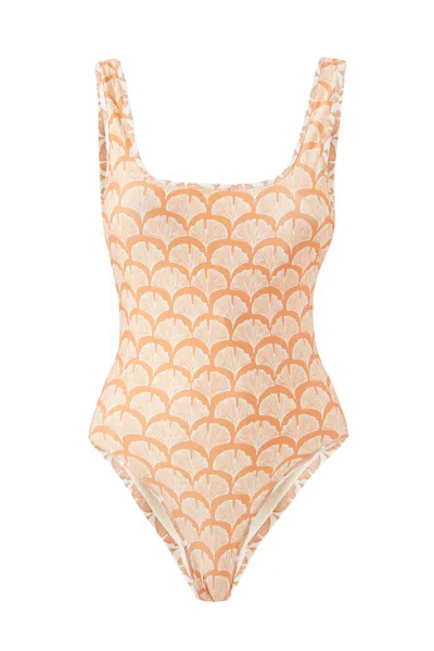 Palmacea Ventura One Piece Carola In Orange
