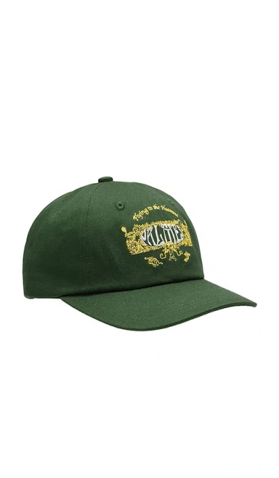 Palmes Angels 6-panel Cap In Green