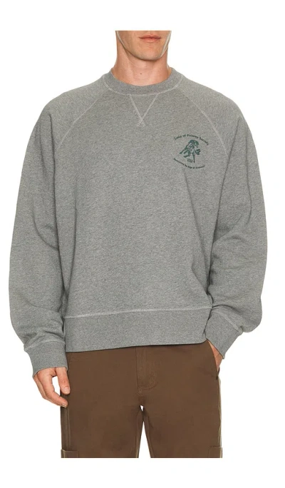 Palmes Lake Raglan Crewneck Sweatshirt In Gray
