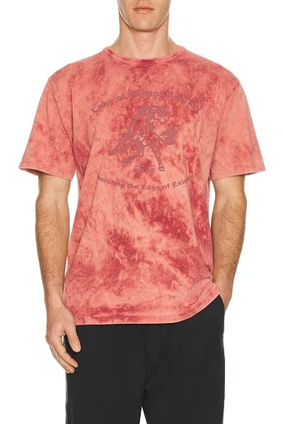 Palmes Lake Tee In Brown