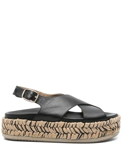 Paloma Barceló Francia Espadrilles In Black