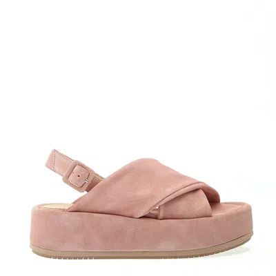 Paloma Barceló Pink Suede Wedge Sandal