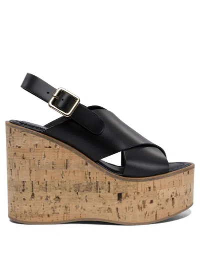 Paloma Barceló Begonia Wedge Sandals In Black