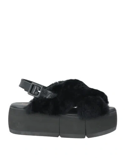 Paloma Barceló 056/1 Violin Woman Sandals Black Size 8 Leather