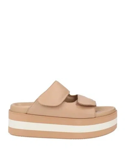 Paloma Barceló Asena Woman Sandals Sand Size 10 Leather In Neutral